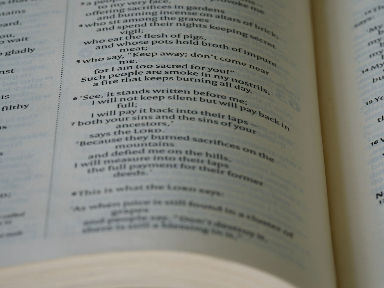 Behind the Scenes of an Illustrated Memoir