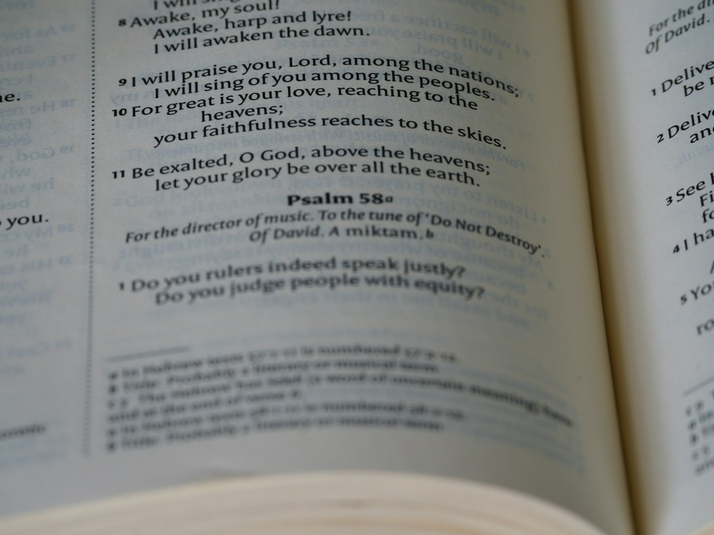 Curating Stories for Young Adventurers