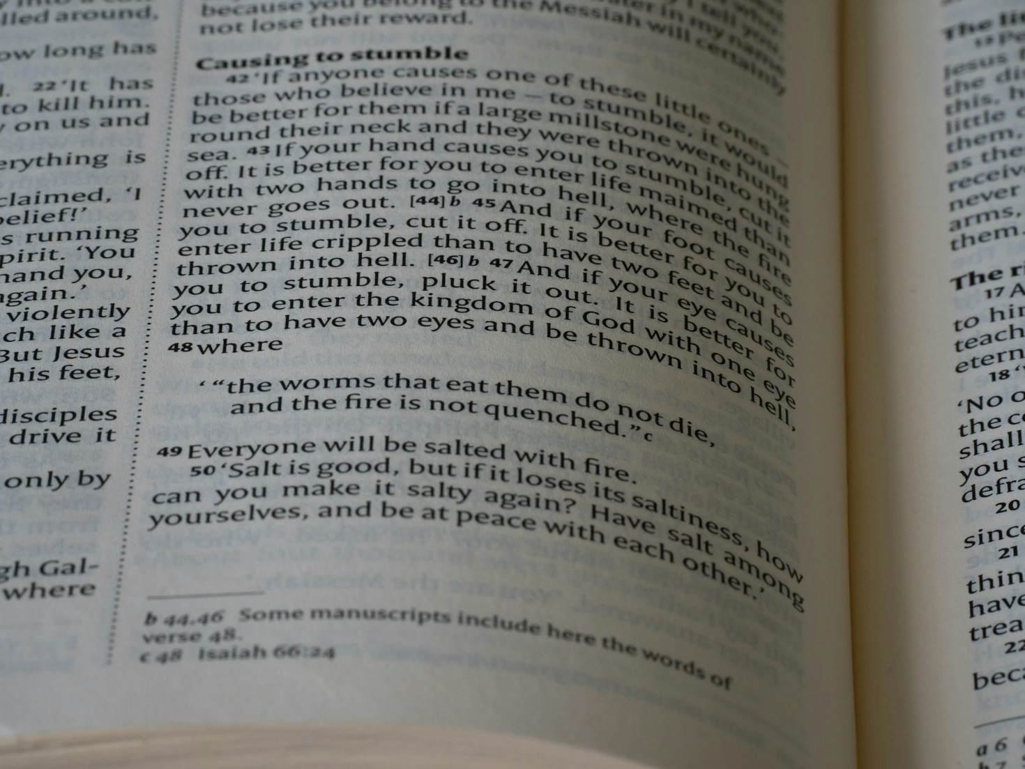 Spellbook Features: A Peek Inside the Magic