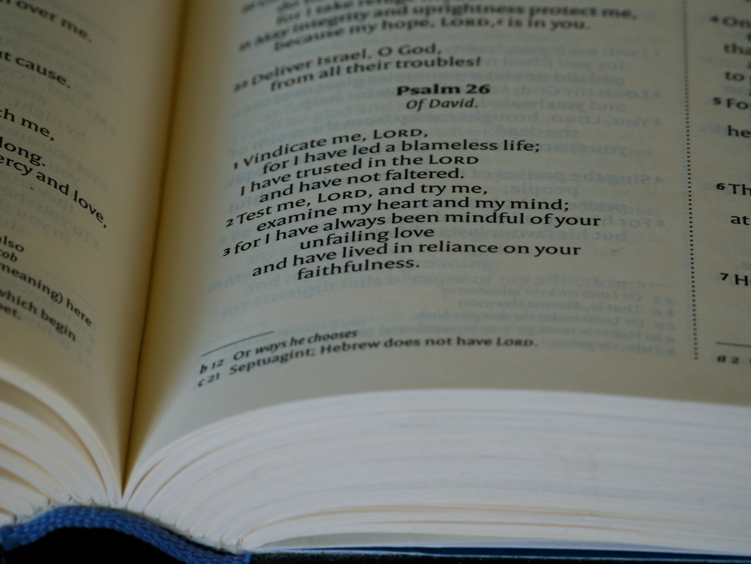 Exploring the Intersection of Memoirs and Fantasy